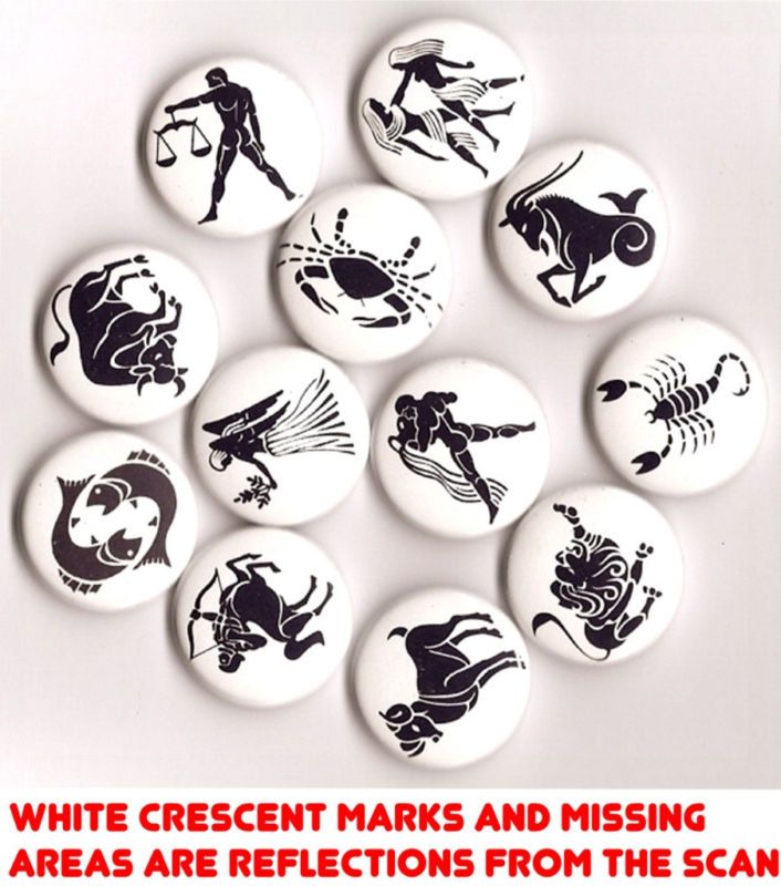 ZODIAC BUTTONS   12 PINS   astrology/signs/horoscope  