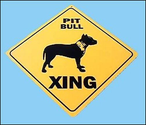 Pit Bull Xing Sign   12 x 12 Polystyrene New  