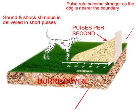 the number of collars it can control up to 5000 square meters range 