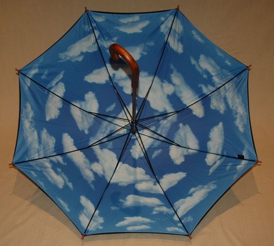 Classic Wood Umbrella with wooden shaft and handle  