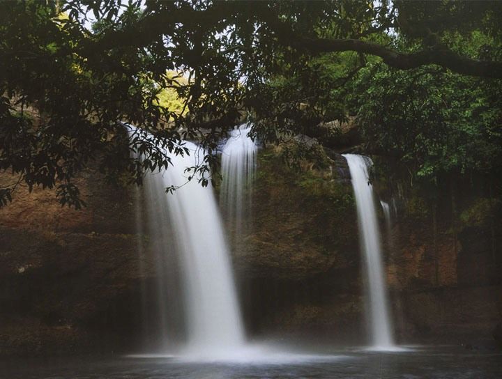 Forrest BRUCE TRAIL WATERFALL Wallpaper Mural 8x10.5 91071  