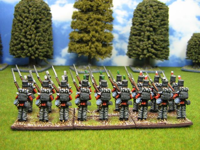 28mm DPS painted Nap British Foot Brigade GBr01AF  