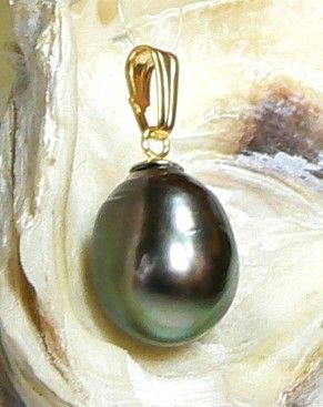 13.5mm BLACK TAHITIAN SOUTH SEA PEARL PENDANT 14K GOLD  