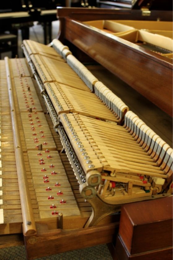 1925 Steinway & Sons Model M  