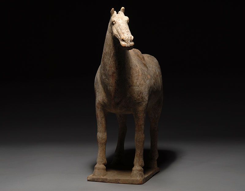 Ancient Chinese Tang Dynasty Pottery Terracotta Horse  