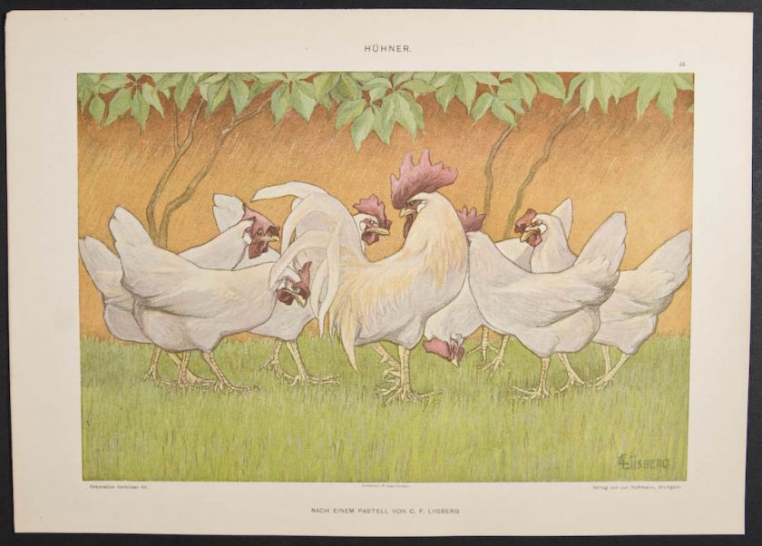 Hoffmann   Roosters. 48   1893 Dekorative Vorbilder Art Nouveau 