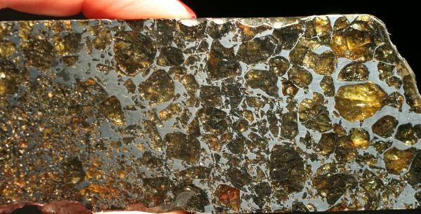 RICH PALLASITE & MESOSIDERITE METEORITE SEYMCHAN 51g  