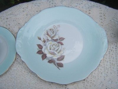   Anne Autumn Rose Bone China 17pc tea set Turquoise White Roses  