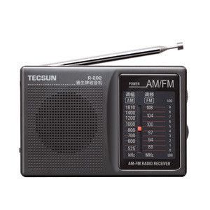 TECSUN R202T (Black) AM/FM/TV Pocket Radio Receiver  