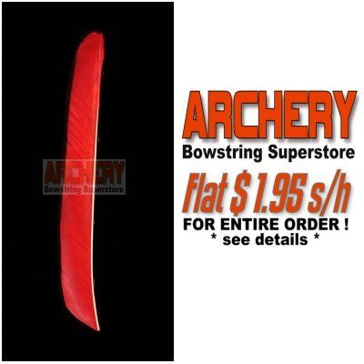 12 RW RED FULL LENGTH FEATHERS Archery Arrows FLU FLU  