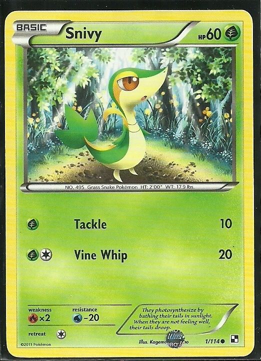 Pokemon Black & White SNIVY Card # 1  